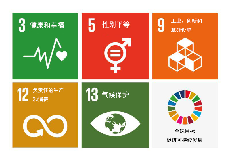 全球目标-黑体.jpg